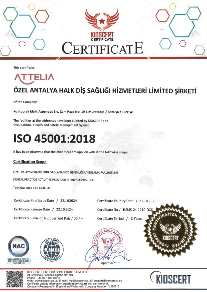 ISO 45001 Certificate